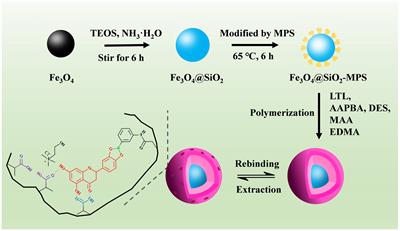 Fabrication of magnetic molecularly imprinted polymer-based covalent–noncovalent synergistic imprinting strategies for the highly specific enrichment of luteolin from honeysuckle